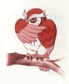 owl